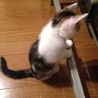 しめママ