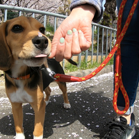 テオ