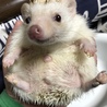 の写真