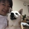 の写真