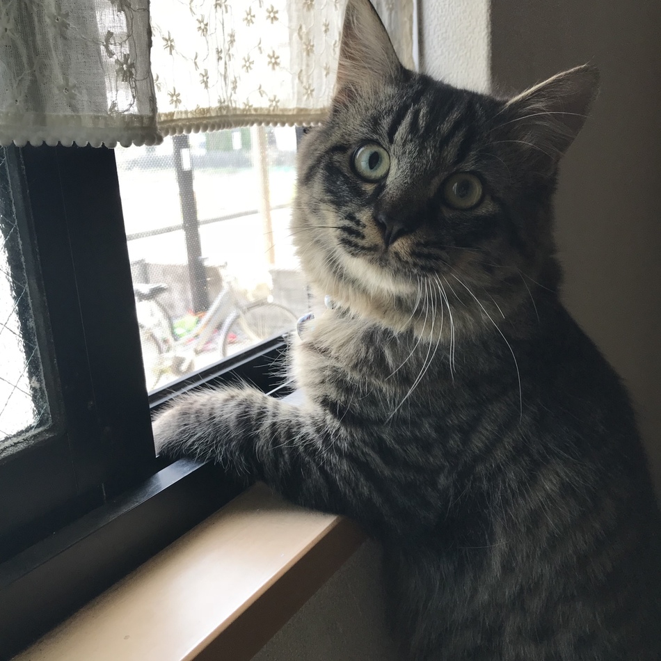 武蔵のカバー写真