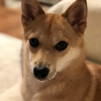 ライリー