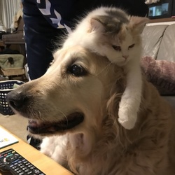 「穏やかな春」サムネイル3