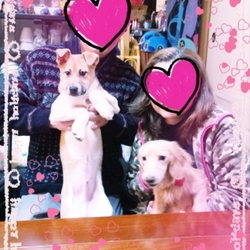 正式譲渡♥ひぃくん(ブン）