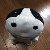 きらまめこ さん