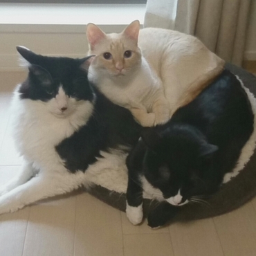 彼らの辞書に“寝心地のよさ”の文字はない…！(笑)