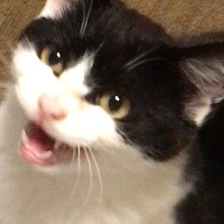 どんなけ かわいーーの⁇？甘えん坊過ぎ♡