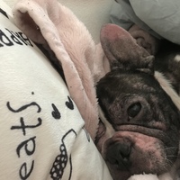 ブギー