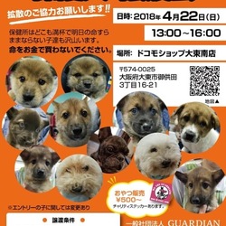 ワンちゃん・ネコちゃんふれあい譲渡会