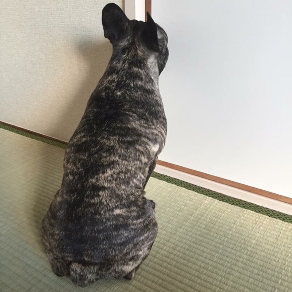 ROCKのカバー写真