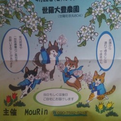 犬と猫の譲渡会