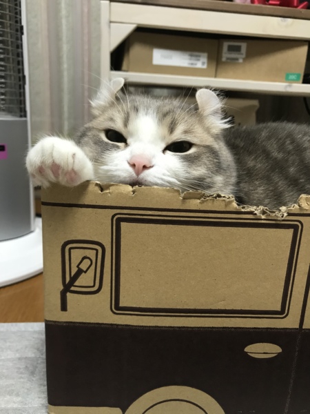 どら