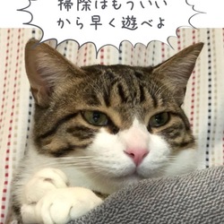 吹き出しアプリで可愛くコメント