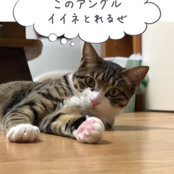 「吹き出しアプリで可愛くコメント」サムネイル2