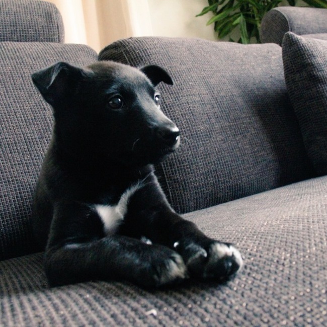池畑たびのカバー写真