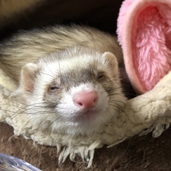 子供達への悩み