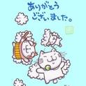 急募⭐️8カ月の可哀想なメス猫