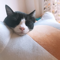 ナル