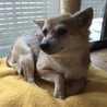 ありがとうございました サムネイル5