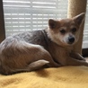 ありがとうございました サムネイル4