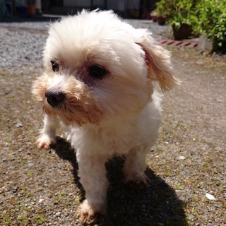 別サイトで決まりました！