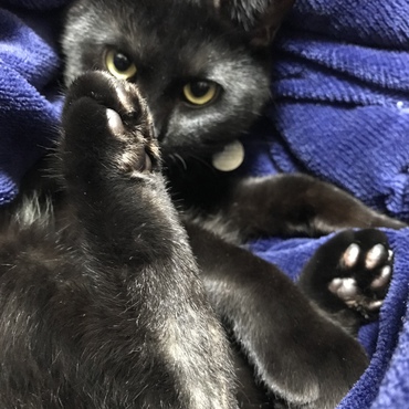 布団を開けたら、、