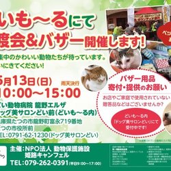 譲渡会＆バザー