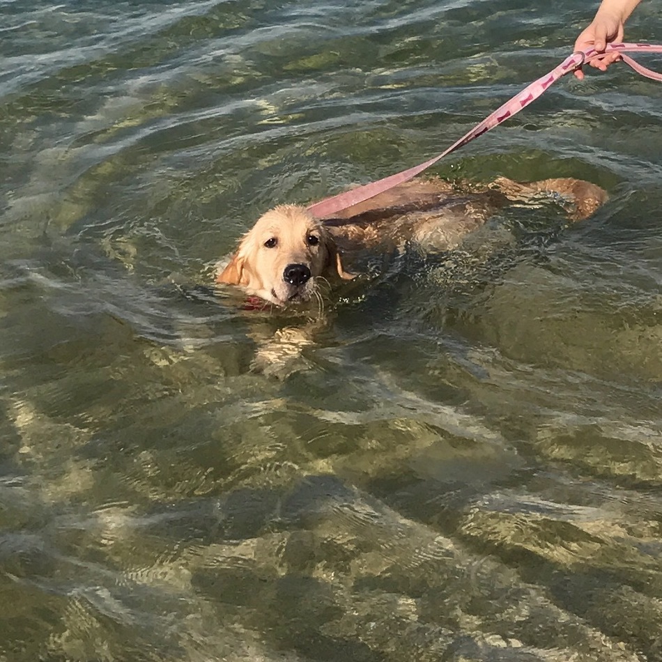 bettyのカバー写真