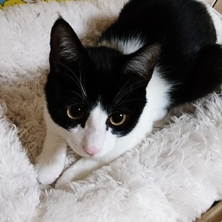 元気印のるっく♡