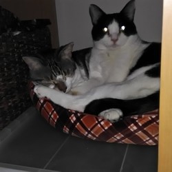 二匹、家に戻ってきました