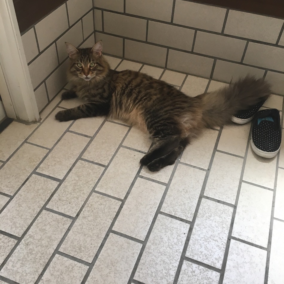 もずくのカバー写真