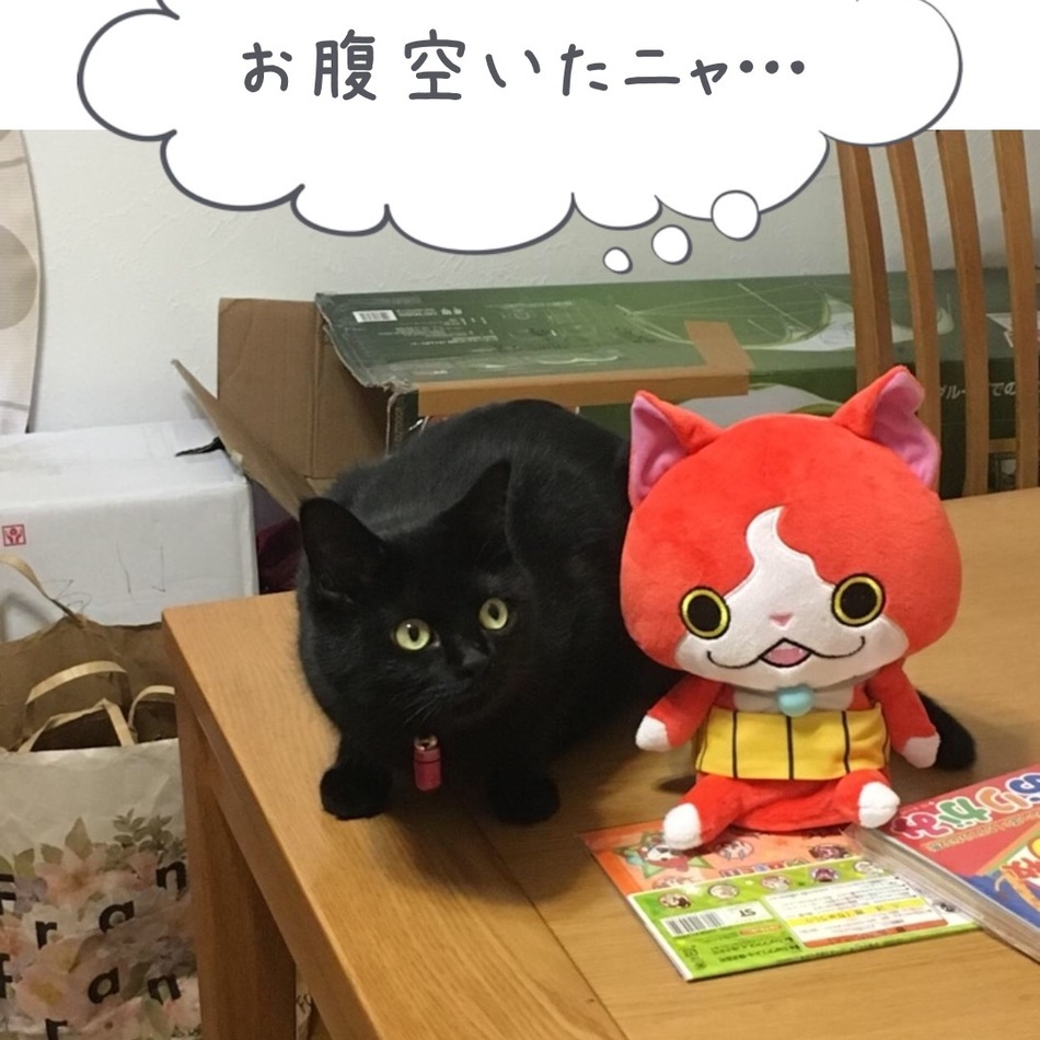 レイのカバー写真