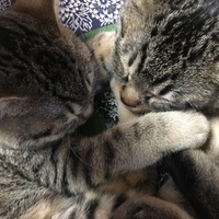 仲良し兄妹