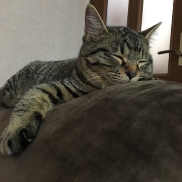 まったり～