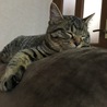まったり～