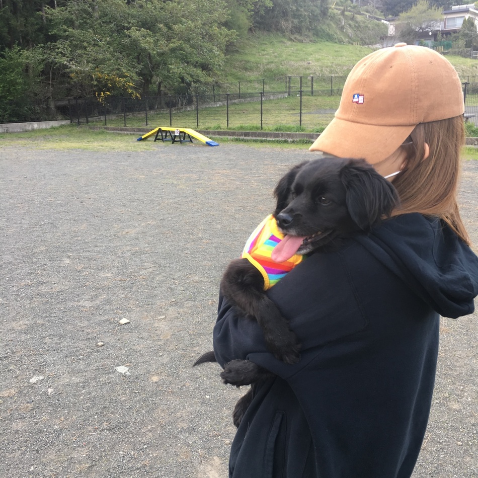 シャーリーのカバー写真