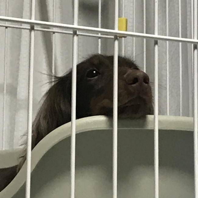 aki5_aki6のカバー写真