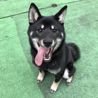 佐藤 るん