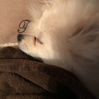 わたまる