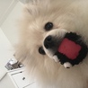 の写真