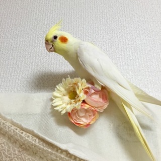 いい子達なんです！！！