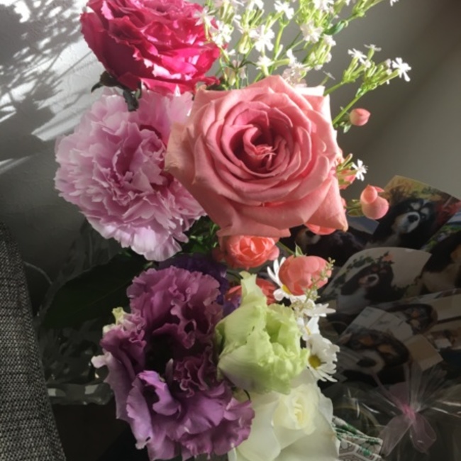 こいけりえのカバー写真