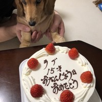 ラブ