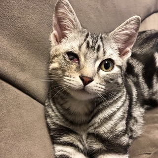 わんこと仲良し・大らか☆るぅ君