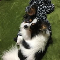 ロイ