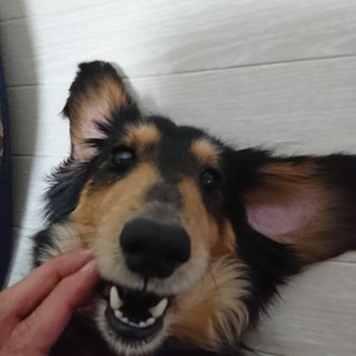 幸せ切符掴みました～❗