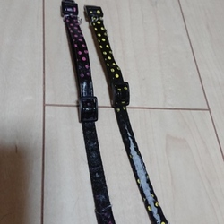 「首輪を新調♪」サムネイル3