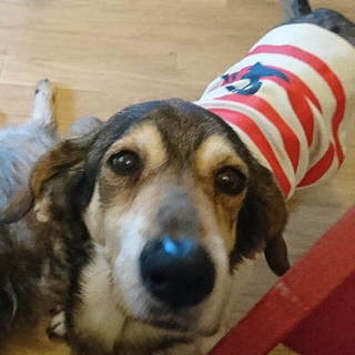 穏やかで甘えん坊  長（おさ）くん