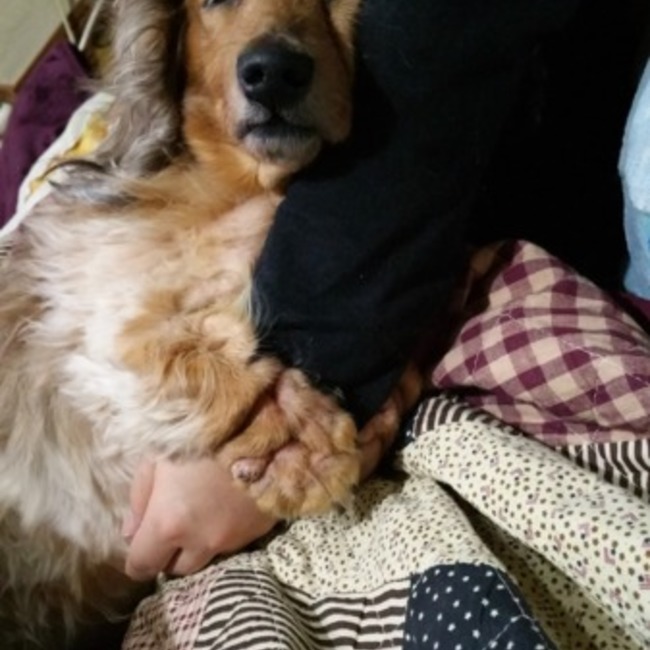 miwa0618のカバー写真