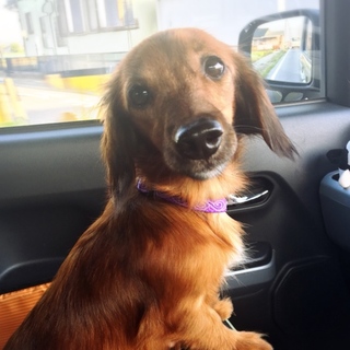 良いご縁に繋がりました。